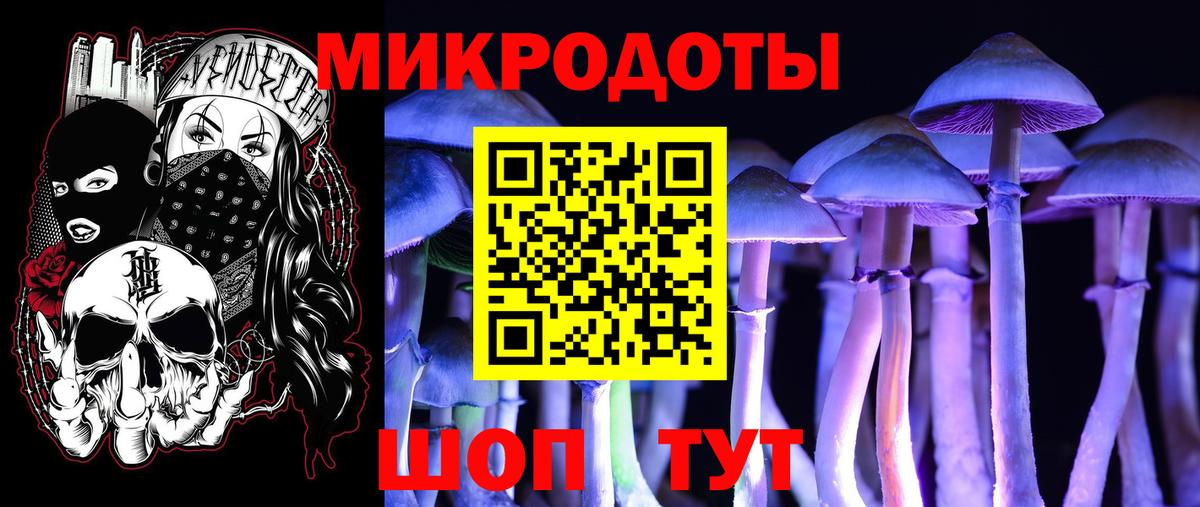 Псилоцибиновые грибы мицелий Рассказово