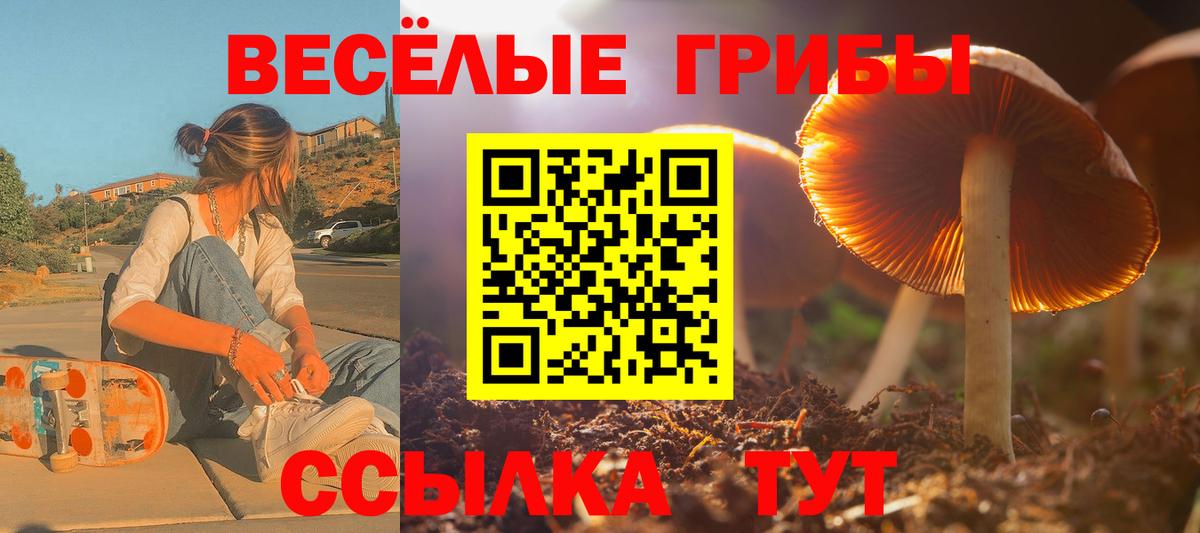 Рассказово  Псилоцибиновые грибы Cubensis  Вход с VPN 